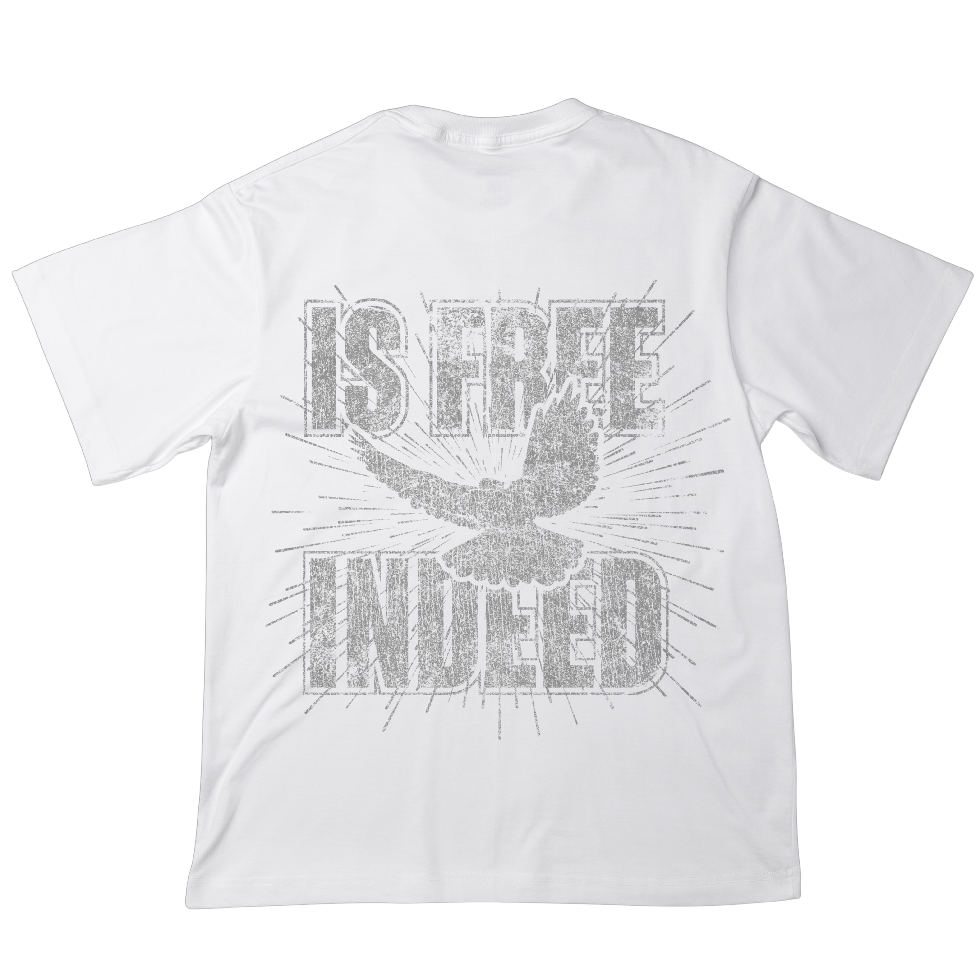 Who The Son Sets Free Is Free Indeed | T-Shirt
