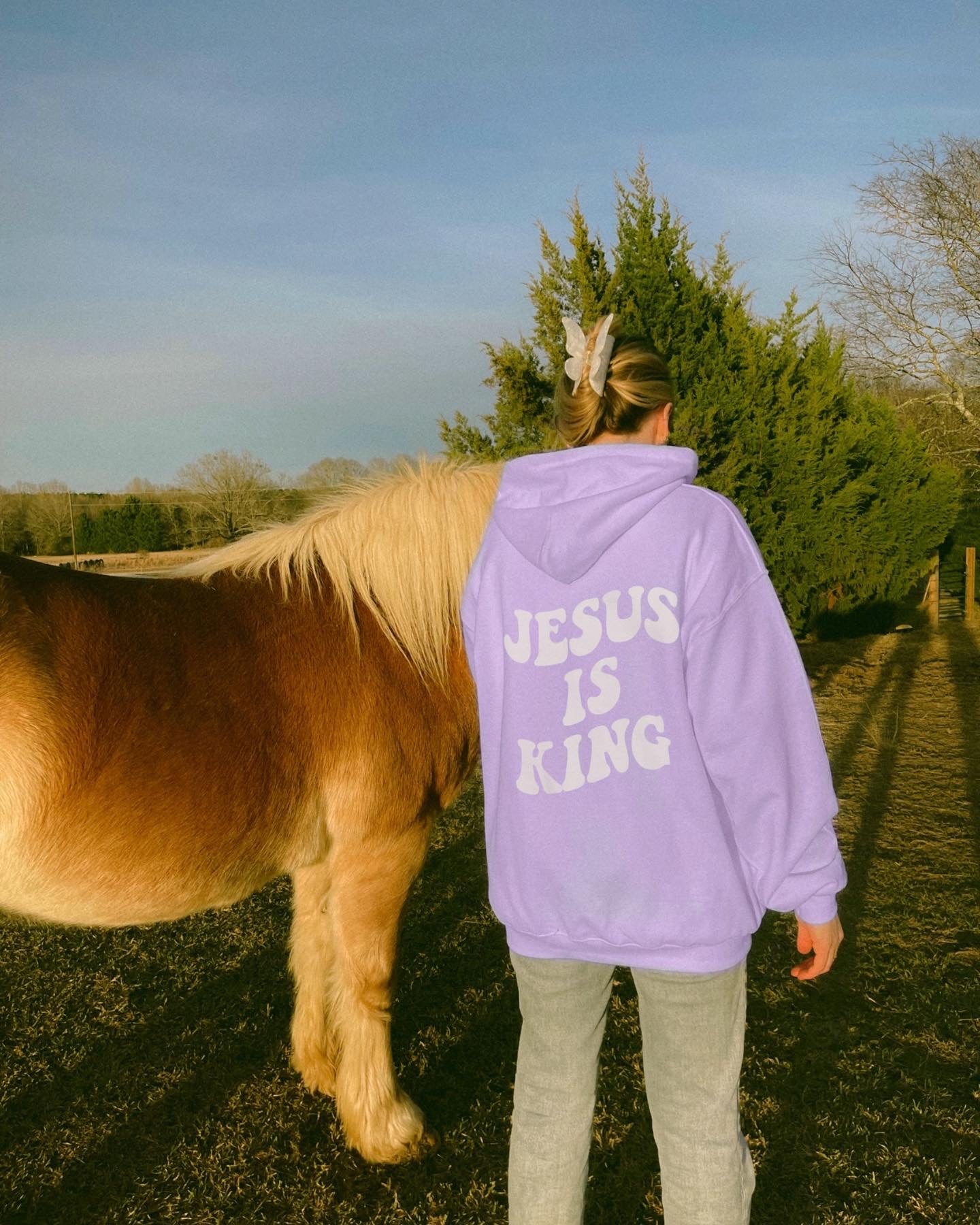 Jesus Is King | Hoodie
